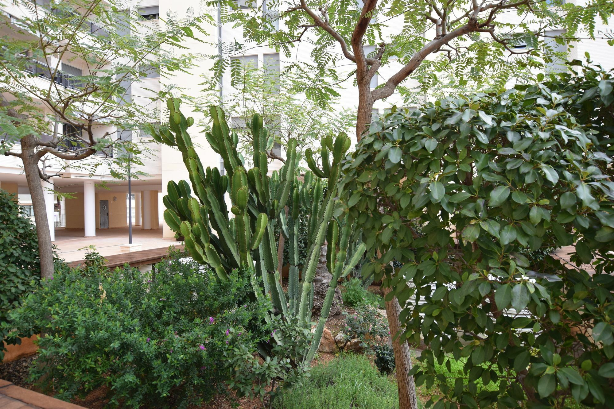 Plaza Mayor 2 Bedroom Apartment كاليبي المظهر الخارجي الصورة